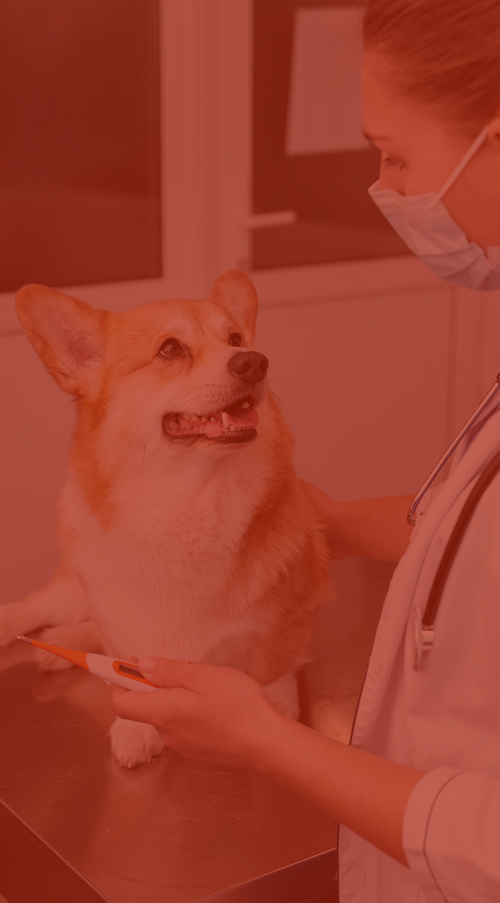 VETDESK lateral